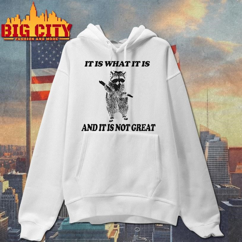 It Is What It Is Opossum Raccoon Shirt